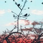 دانلود ریمیکس طلسم از مهیاد و شایع و پوتک و ویناک و مهراد هیدن و هیپهاپولوژیست