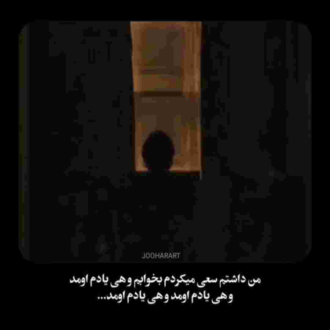 دورچی و ویناک و شایع و مهدیار قتل عمد