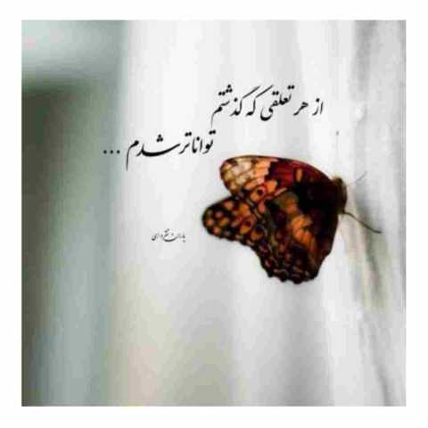 دانلود آهنگ  شاد احساسی ( شریک حال خوبم تو پناهم تو رفیقم تو )