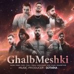 دانلود ریمیکس قلب مشکی از شایع و رضا پیشرو و پوری و امیر تتلو و علی سورنا و رامین کرمی و رامین تجنگی و محمد امیری