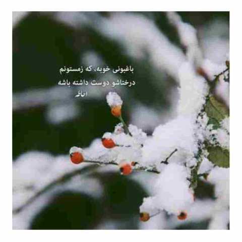 دانلود آهنگ غمگین از محسن چاوشی ( نمیدونم قلبم واسه چی ول کن نیست )