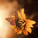 دانلود آهنگ شاد آخه من خسته از تکرار عشقم باصدای حمیرا (هوش مصنوعی) دانلود آهنگ شاد آخه من خسته از تکرار عشقم باصدای حمیرا (هوش مصنوعی)