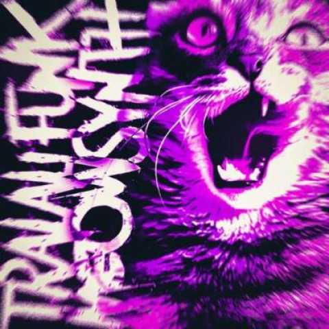 دانلود آهنگ فانک dj frizer tralali funk