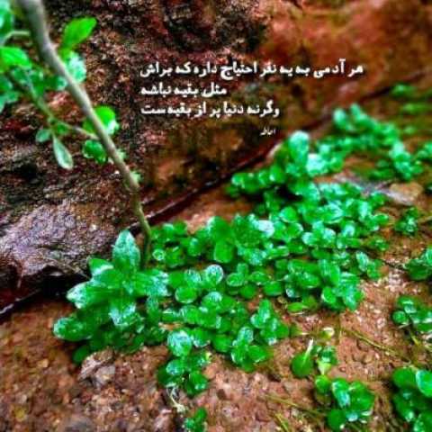 دانلود آهنگ امان از درد دوری با صدای حمیرا