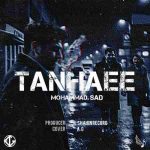 دانلود آهنگ محمد صاد به نام تنهایی